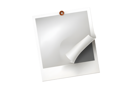 Vector instant photo print featuring curled edges, realistic rendering against transparent background, perfect for graphic design compositions