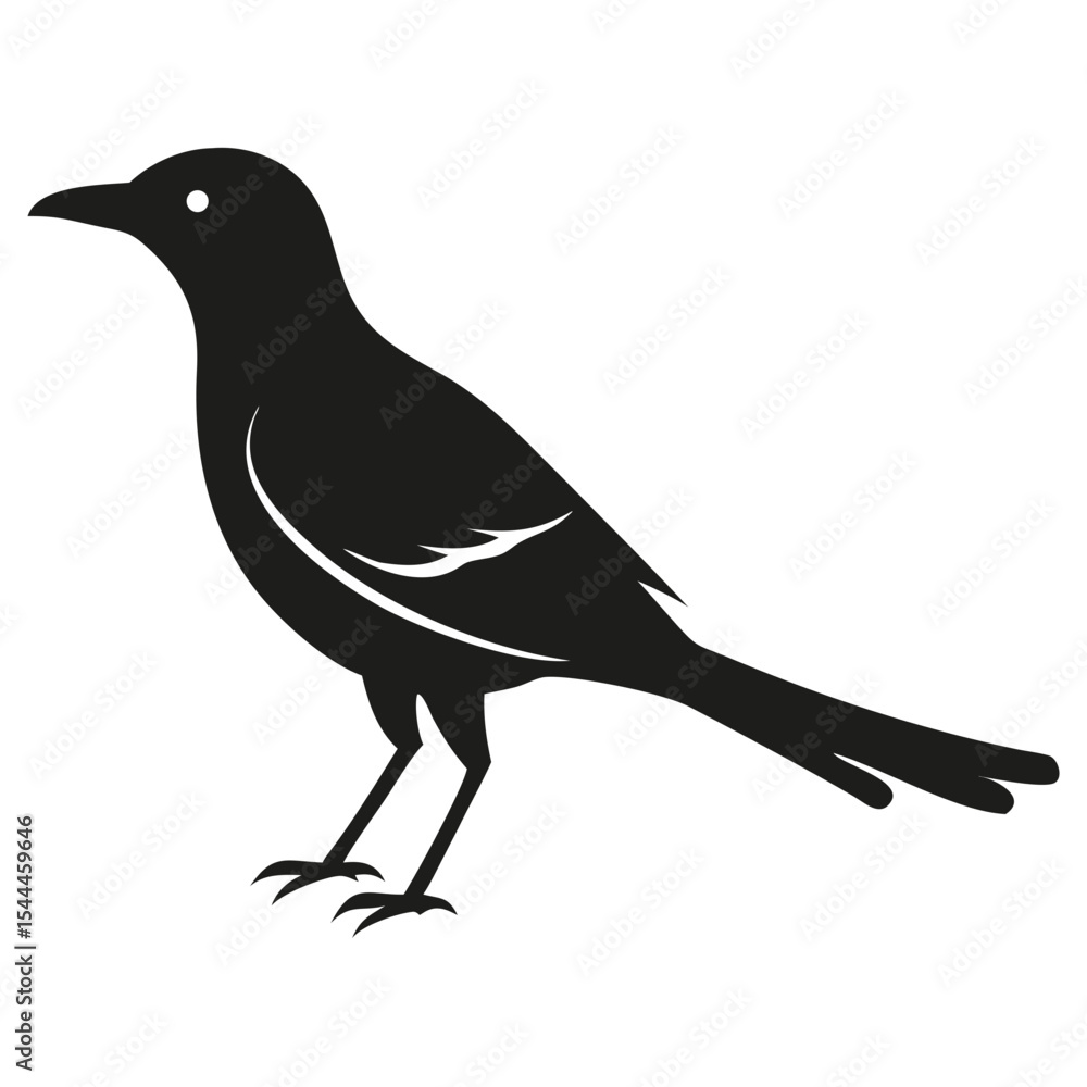 Poster silhouette illustration of a bird standing with a long tail and beak on a white background image des