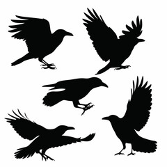 Silhouette illustration of five crows in different poses against a white background view from multiple angles created with generated ai