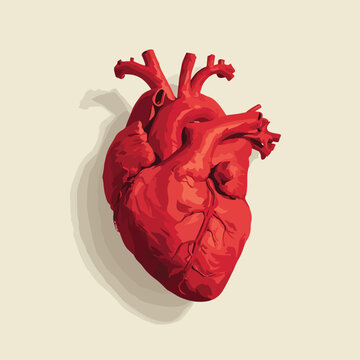 vector illustration of corazon isolated in White Background, corazon vector