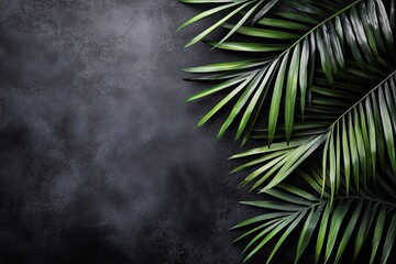 Tropical palm leaves arranged on dark textured background with natural contrast and exotic minimalist botanical design