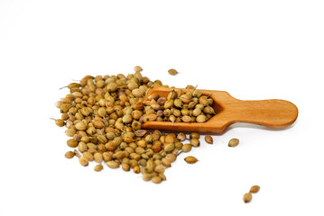 coriander seeds (coriandrum sativum) in wooden spoon isolated on white background