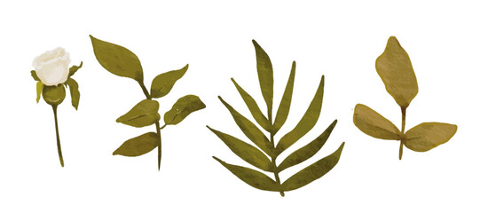 rose illustration set green leaves isolated white sticker