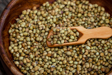Spice coriander (Coriandrum sativum) seeds in wooden bowl and spoon on wooden background. Indian...