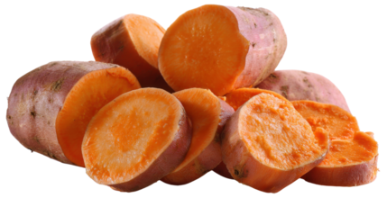 Sweet Potato Slices: Freshly cut sweet potato slices display their vibrant orange hue, inviting culinary exploration and conveying wholesome deliciousness.