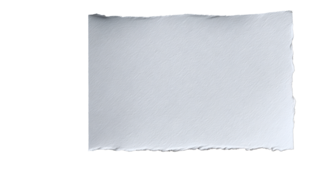 Torn Paper Texture: A piece of textured paper with rough, torn edges, offering a rustic and natural feel.