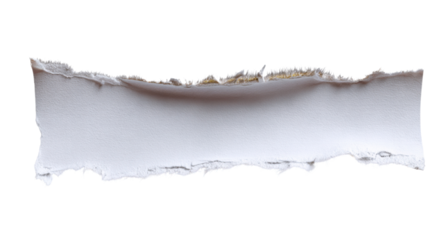 Torn paper, paper texture: An intimate look at a piece of torn paper, showcasing the texture and raw edges. This close-up shot is ideal for adding a touch of organic, visual interest.