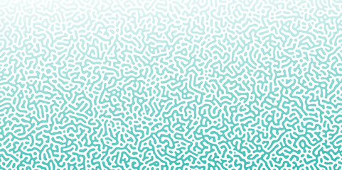 Abstract Reaction-diffusion Turing pattern natural texture blue and white gradient color scheme. Linear design with biological algorithm psychedelic background. Reaction-diffusion or truing patter