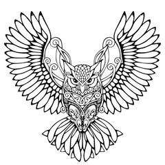 Fototapeta premium owl with wings