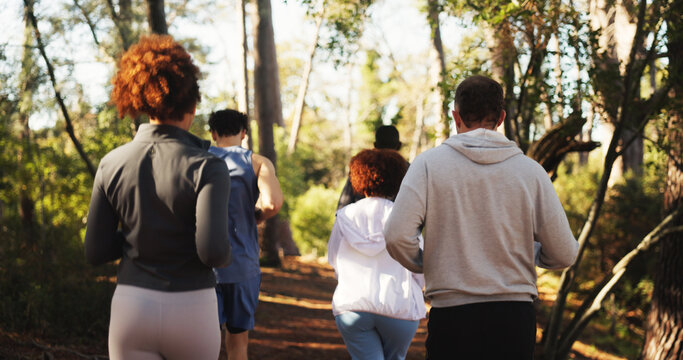 Marathon, group and back in forest for fitness, workout and endurance for performance. Cardio club, running and jog together for competition, practice and team exercise for pace training challenge - Powered by Adobe