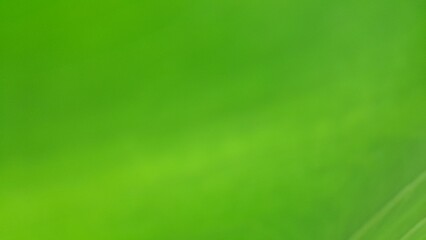 Bokeh photo create abstract blurred image featuring gentle gradients of green tones, evoking a natural, serene, soft and diffused texture that feels light and calming.