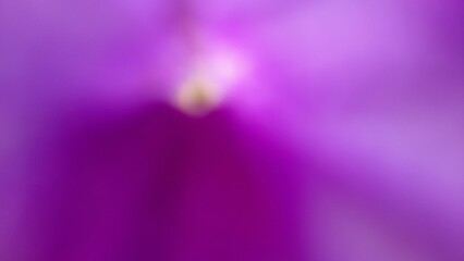 Bokeh photo create abstract blurred image featuring gentle gradients of purple magenta tones, evoking a natural, serene, soft and diffused texture that feels light and calming.
