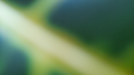 Bokeh photo create abstract blurred image featuring gentle gradients of green and yellow tones, evoking a natural, serene, soft and diffused texture that feels light and calming.