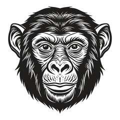 Gorilla chimpanzee face vector illustration
