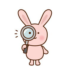 animal_search_rabbit