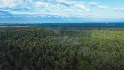 Mist covering forest under clear sky