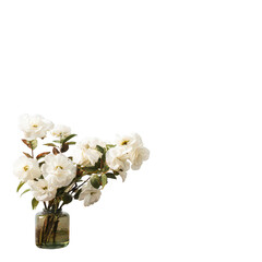 Obraz premium White Flowers in Vase Arrangement