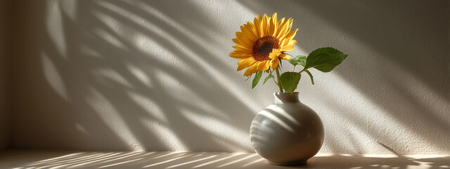 Minimal still life with a sunflower in a porcelain vase lit by soft natural sunlight