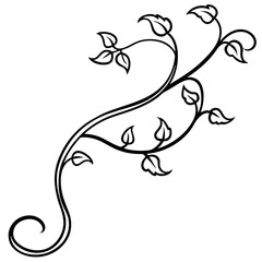 Flowing Vine with Curling Tendrils and Small Leaves – Line Art Illustration