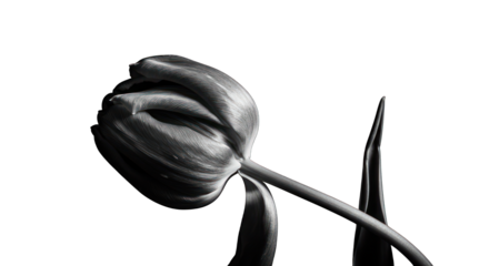 Monochrome flower and face close up