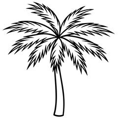 Palm Tree with Slim Trunk and Fanned Leaves – Clean Line Art Style