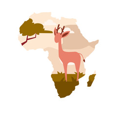 African Nature Animal Deer
