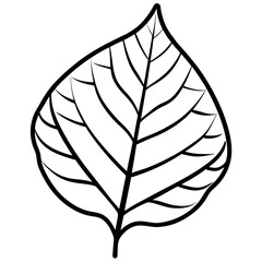 Close-Up Leaf with Detailed Vein Structure – Thin Line Illustration