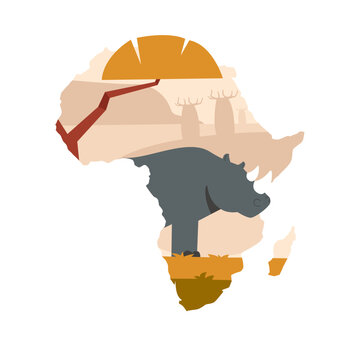 African Nature Animal Rhino