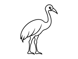 Fototapeta premium Elegant Cassowary Design Minimal Art