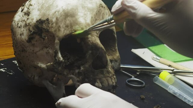 Archeologist delicately brush cleans human skull eye sockets CLOSE-UP