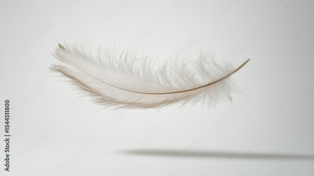 Poster soft and delicate light feather floating gracefully on a minimalist background with subtle shadows a
