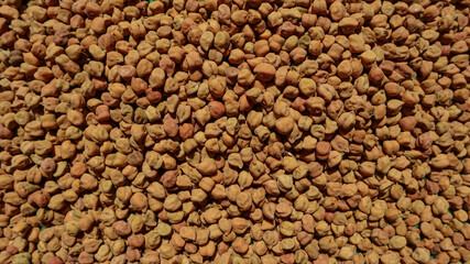 Raw brown uncooked Chana or Chickpeas. Organic chickpeas whole and hard used in Indian cooking