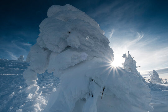 Ice-covered juhyo snow monster trees of Mt. Zao, Yamagata, Japan.