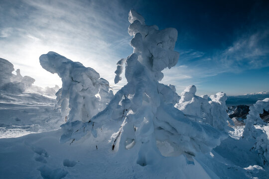 Ice-covered juhyo snow monster trees of Mt. Zao, Yamagata, Japan.