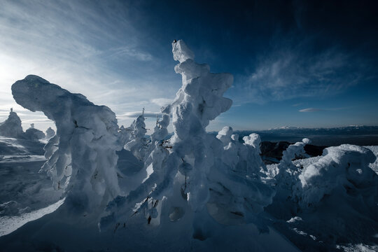 Ice-covered juhyo snow monster trees of Mt. Zao, Yamagata, Japan.