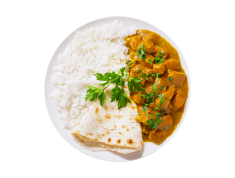 plate of chicken with curry sauce, rice and pita bread isolated on transparent background, top view