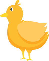 Farm Animal Illustration