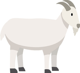 Farm Animal Illustration