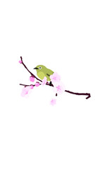 bird on branch