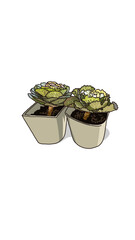 pot of gold
