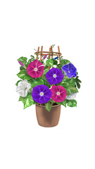 flowers in a pot