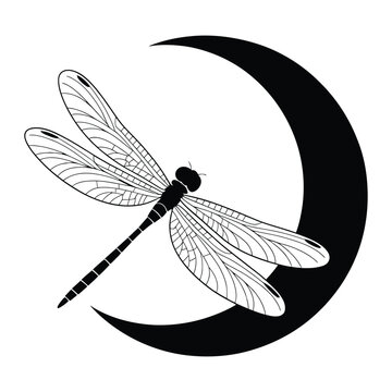 recommend clip art: Dragonfly & Crescent Moon Silhouette, Vector, Illustration, Icon, Logo, White Background.