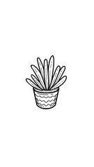 french fries on a white background