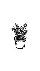 plant in a pot
