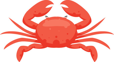 Sea Animal Illustration