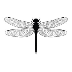 Flight Series Silhouette, Vector, Illustration, Icon, Logo, White Background.