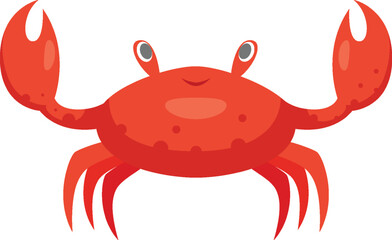 Sea Animal Illustration