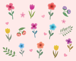 Cute and lovely flowers and heart background image, tulips, plants, leaves, spring