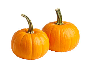 Freshly harvested orange pumpkins on display.