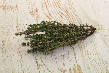 Fresh green Thyme branch isolated
